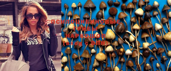 МДПВ Алзамай