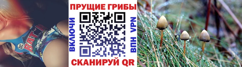 мориарти какой сайт  Новошахтинск  Галлюциногенные грибы MAGIC MUSHROOMS 