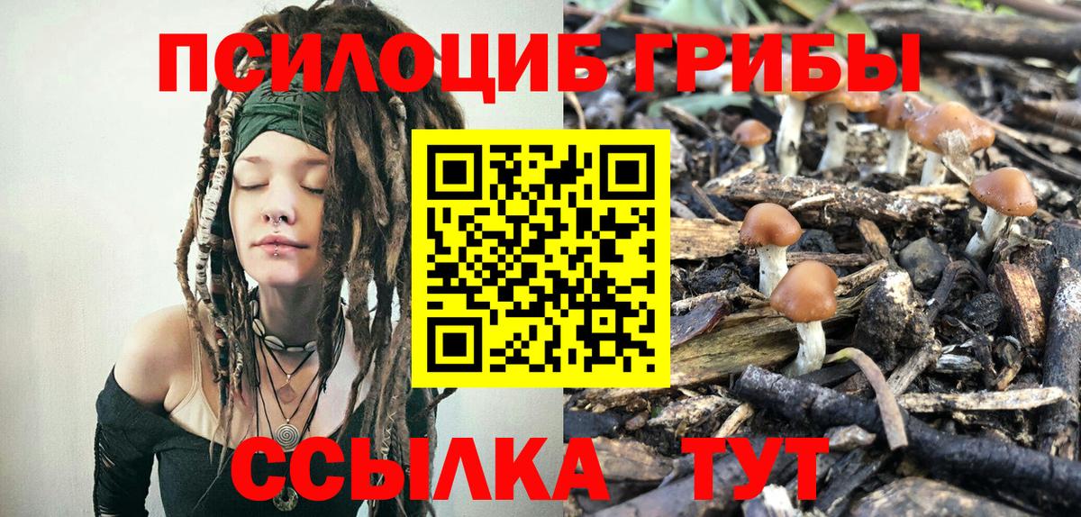 Галлюциногенные грибы Psilocybine cubensis Новошахтинск