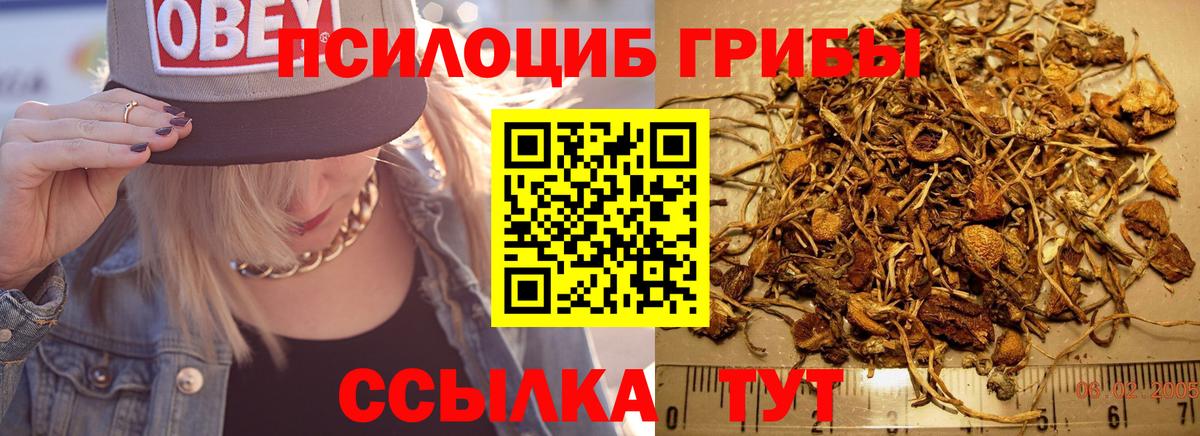 Псилоцибиновые грибы Psilocybine cubensis  Вход с VPN  Новошахтинск 