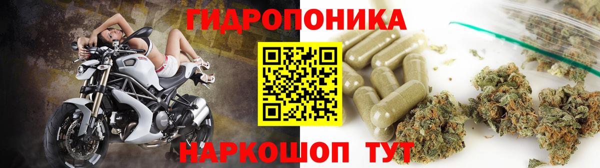 Бошки марихуана планчик Новошахтинск